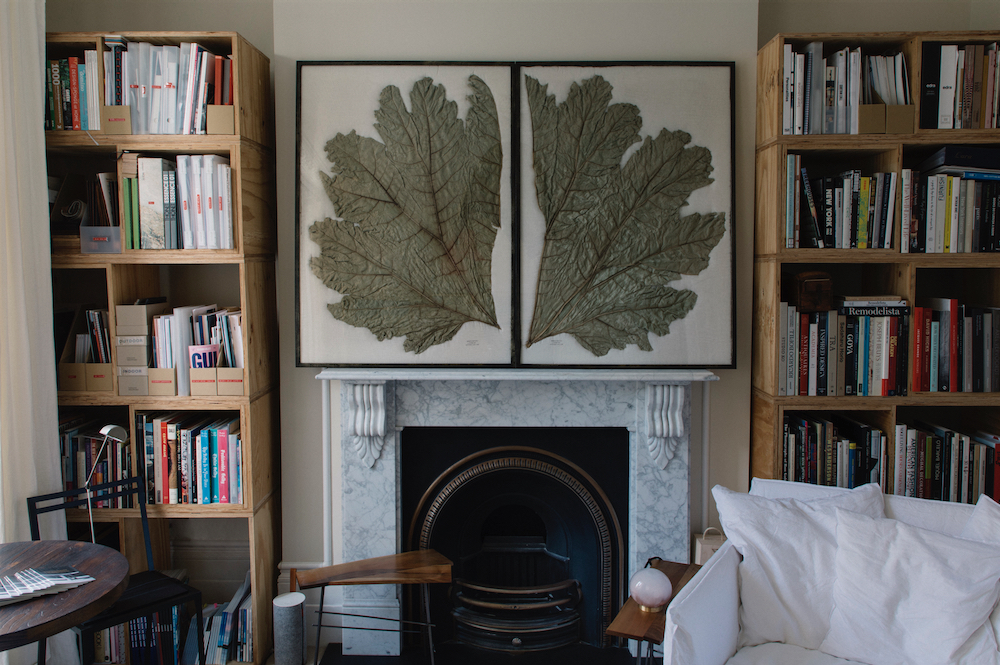 'Giant Leaves' by House of Herbaria - a series of botanical pictures
